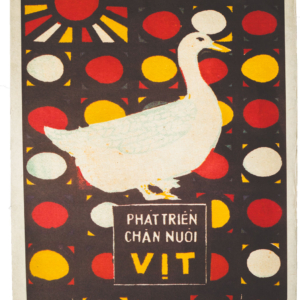 Vietnamese Poster - Raise Ducks